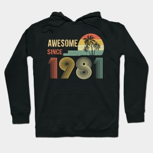 41 Year Old Awesome Since 1981 Gifts 41th Birthday Gift Hoodie